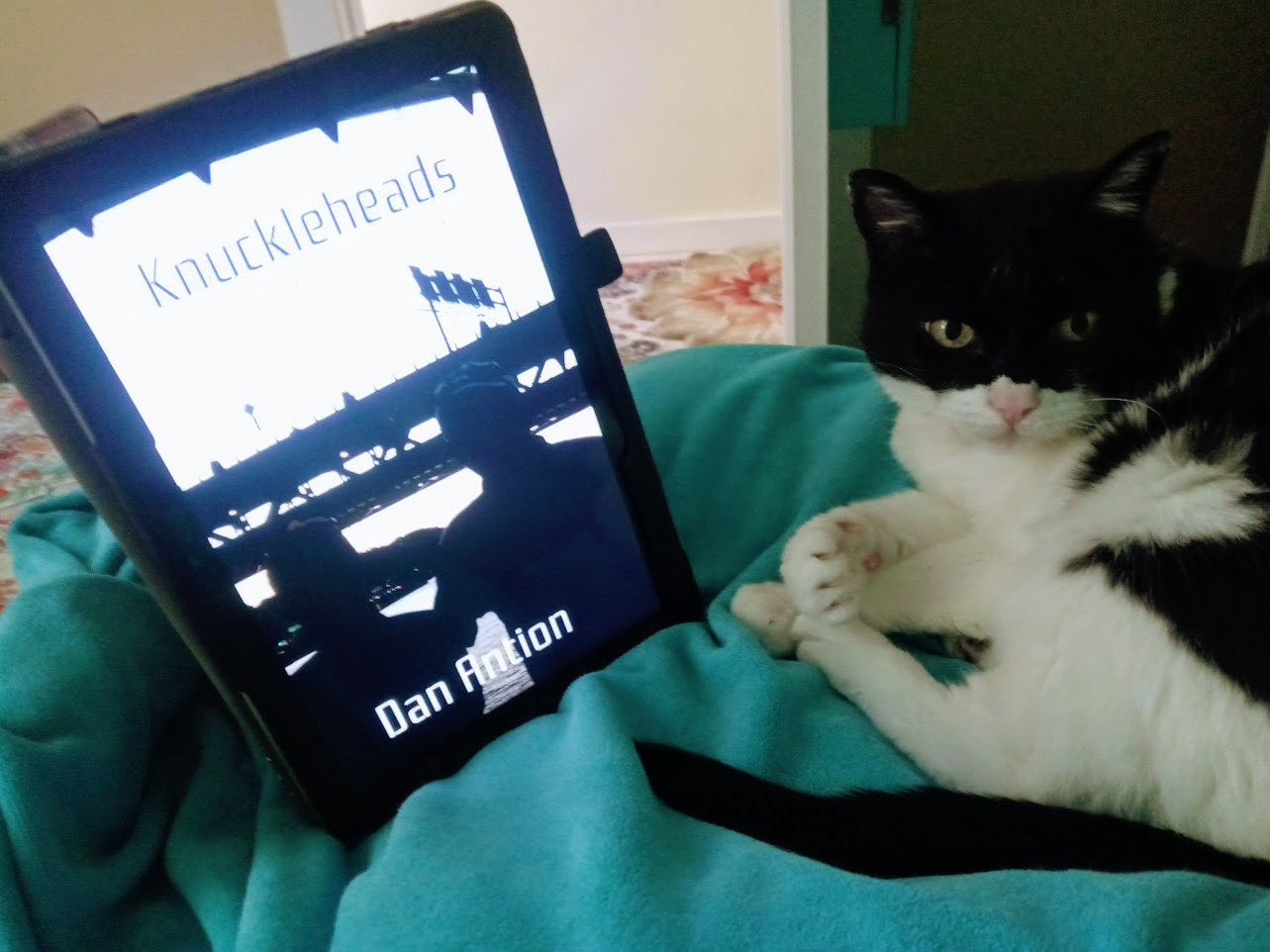 Crystal gives Knuckleheads 5 claws up