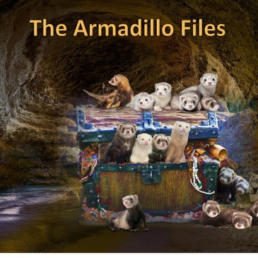 Armadillo promo Ferrets by Teagan Geneviene