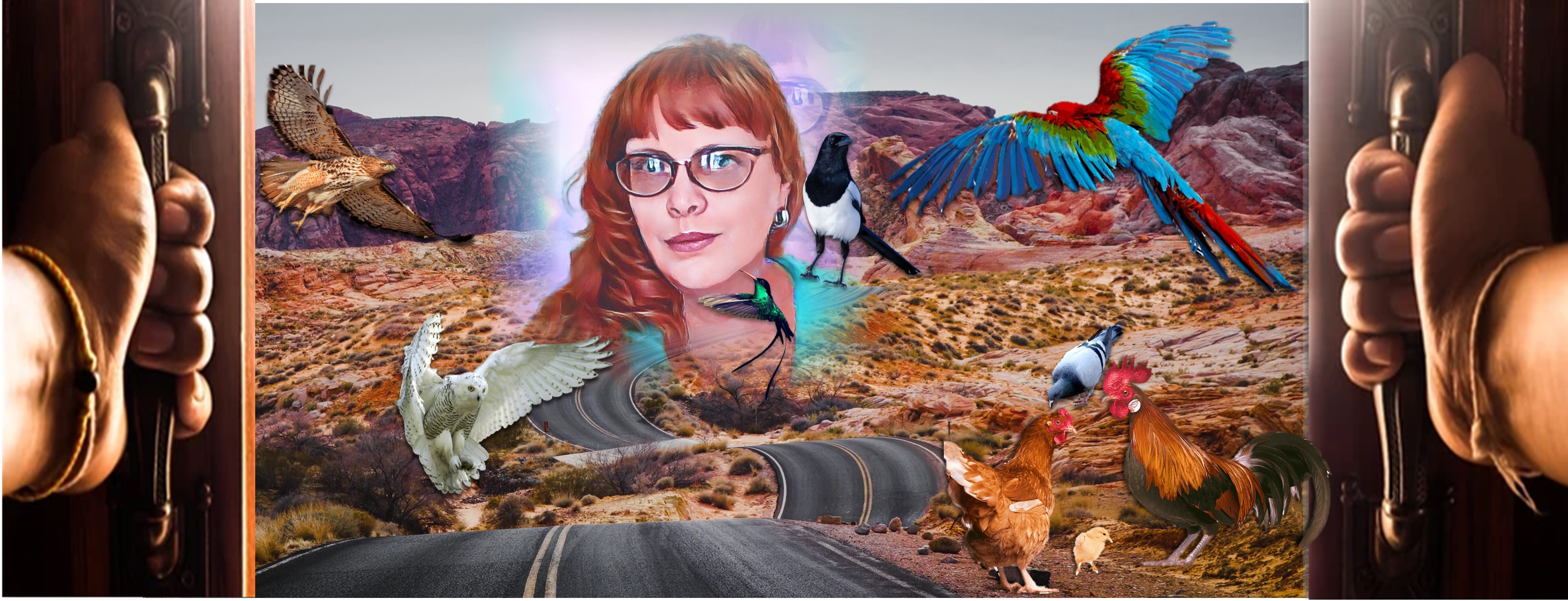 Author Mind for the Birds