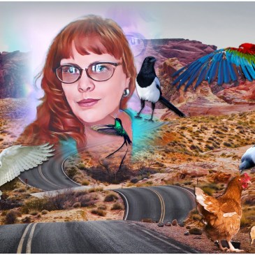 Author Mind for the Birds