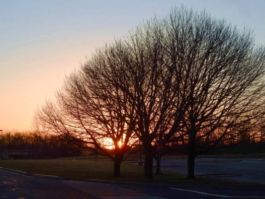 Dan Antion, 2017 (image altered)