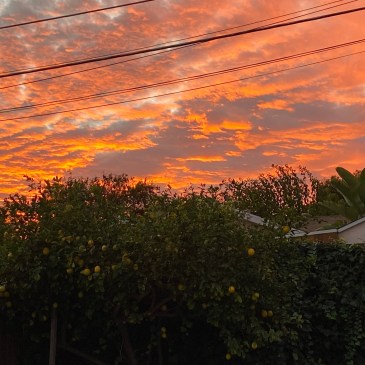 Photo by Sarah Mallery