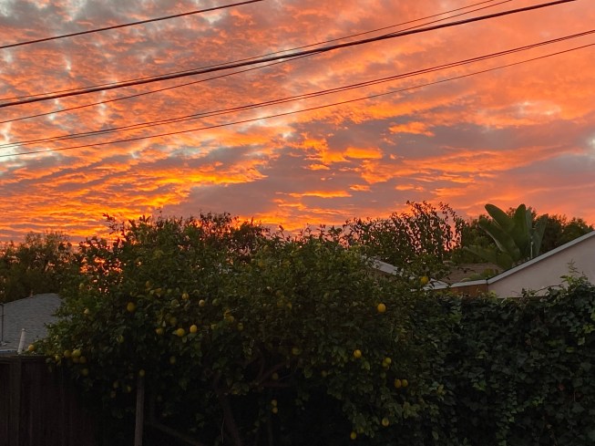 Photo by Sarah Mallery