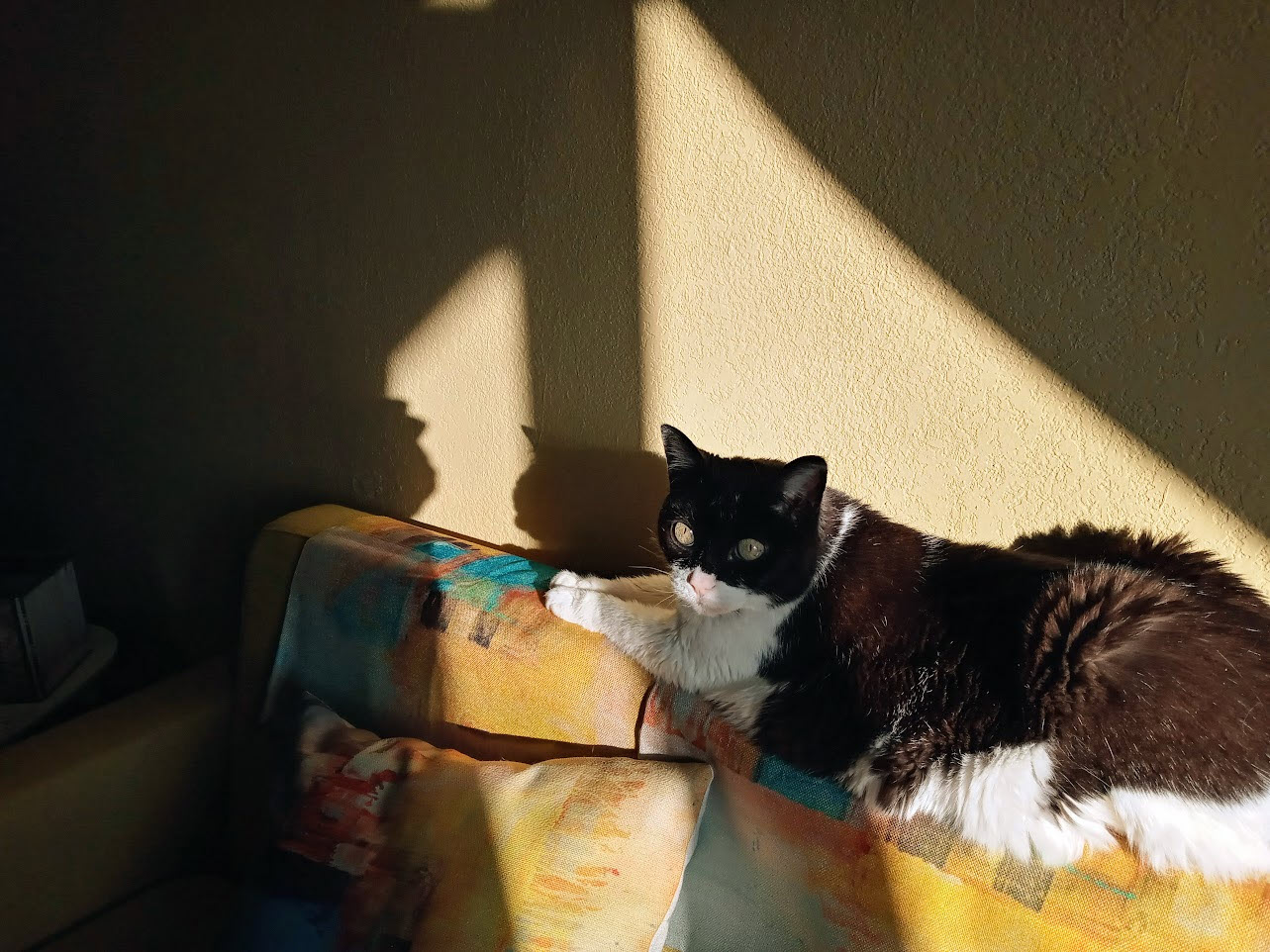 Crystal on November 11, 2022