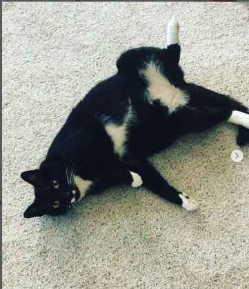 Bond Teri Polen 08-2022