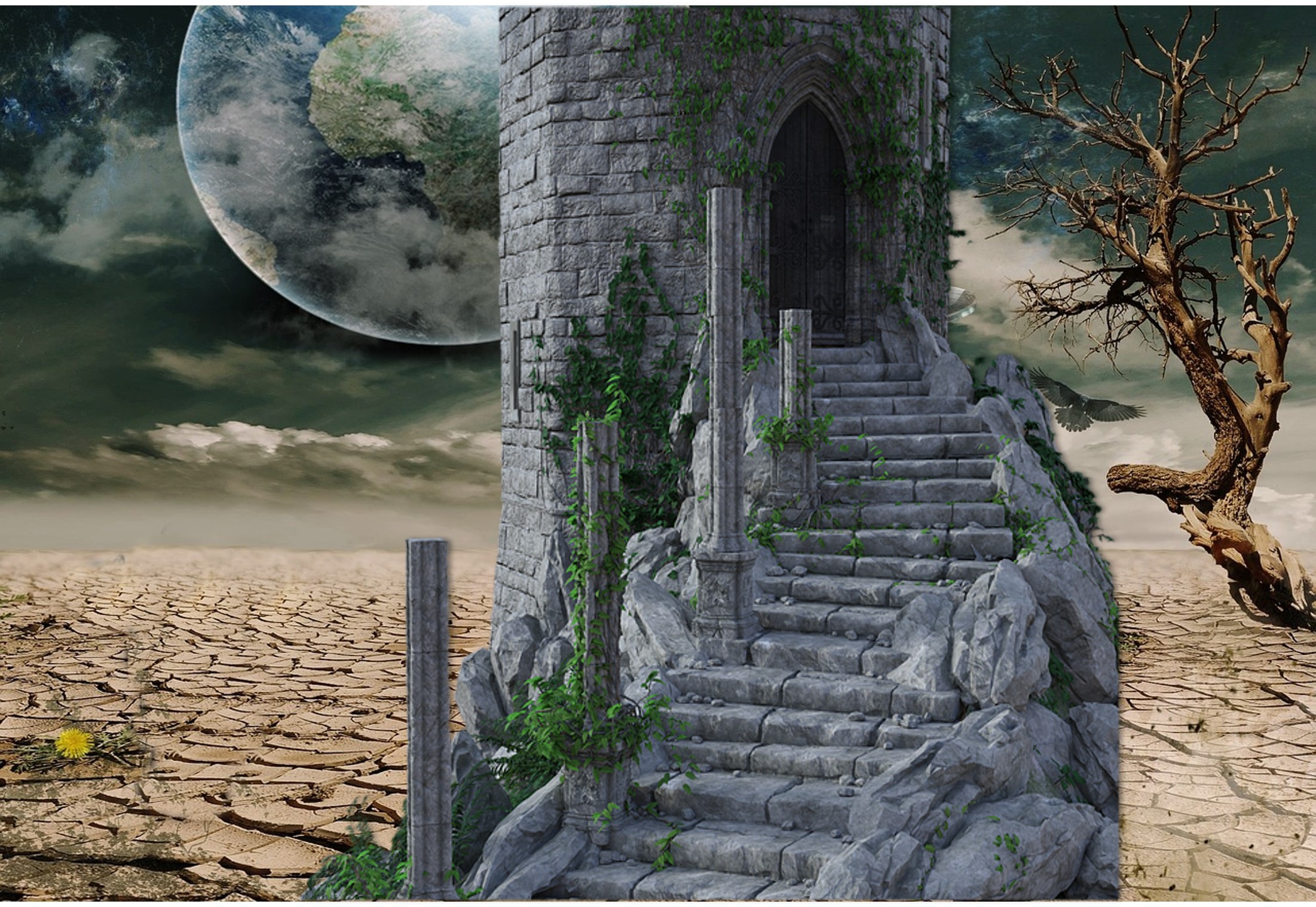 Image collage by Teagan Geneviene