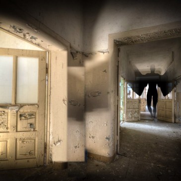 Image collage by Teagan Geneviene