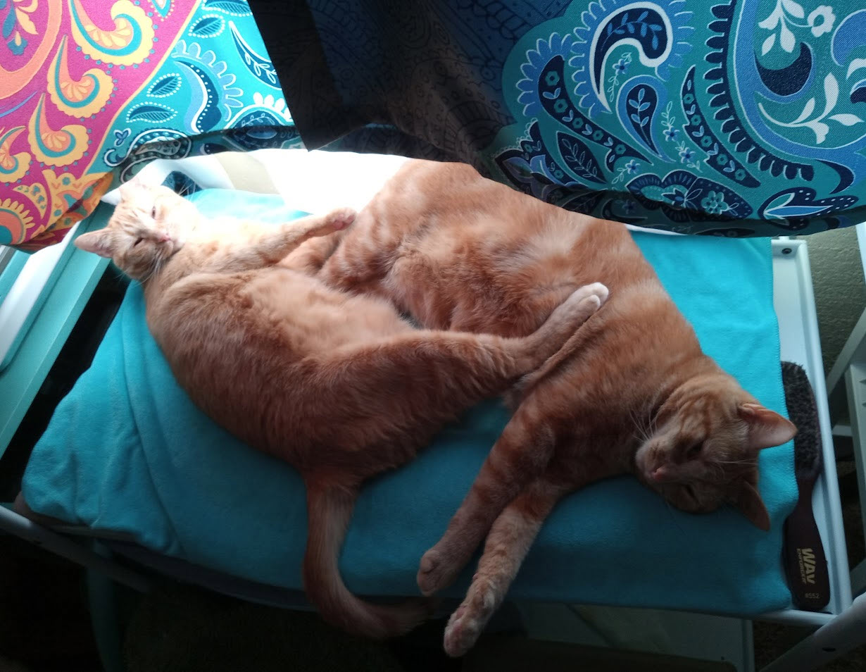 Velma Daphne Sunbed nap