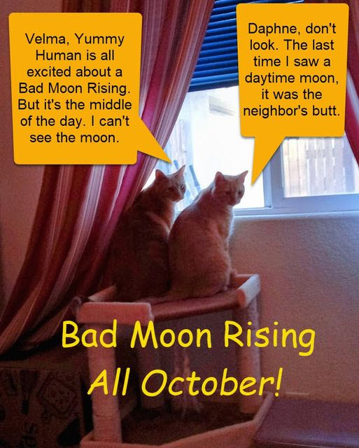 Daphne Velma Bad Moon 2024