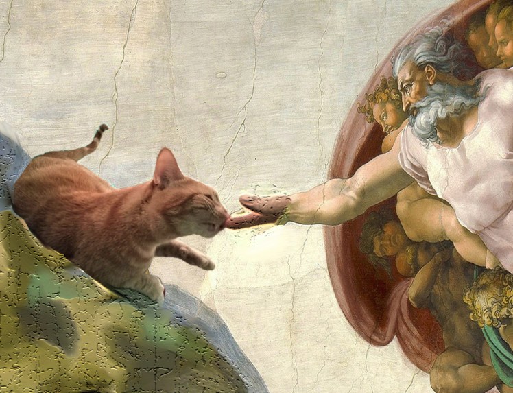 The Creation of Cat, staring Daphne, by Teagan