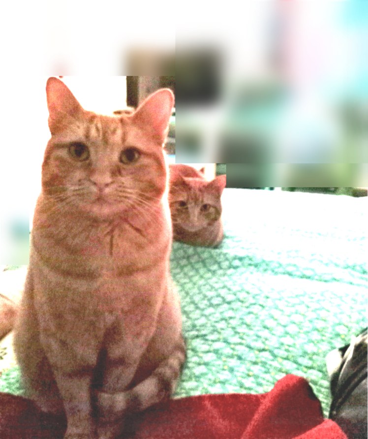 Velma and Daphne waiting