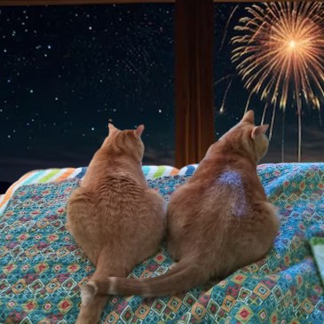 Velma and Daphne looking out the window at New Year's fireworks