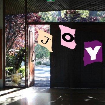 Joy coming through the door