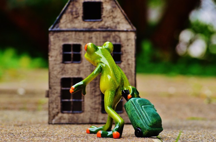 frog figurine with suitcase