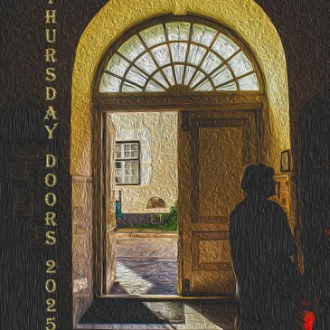 2025 other doors badge