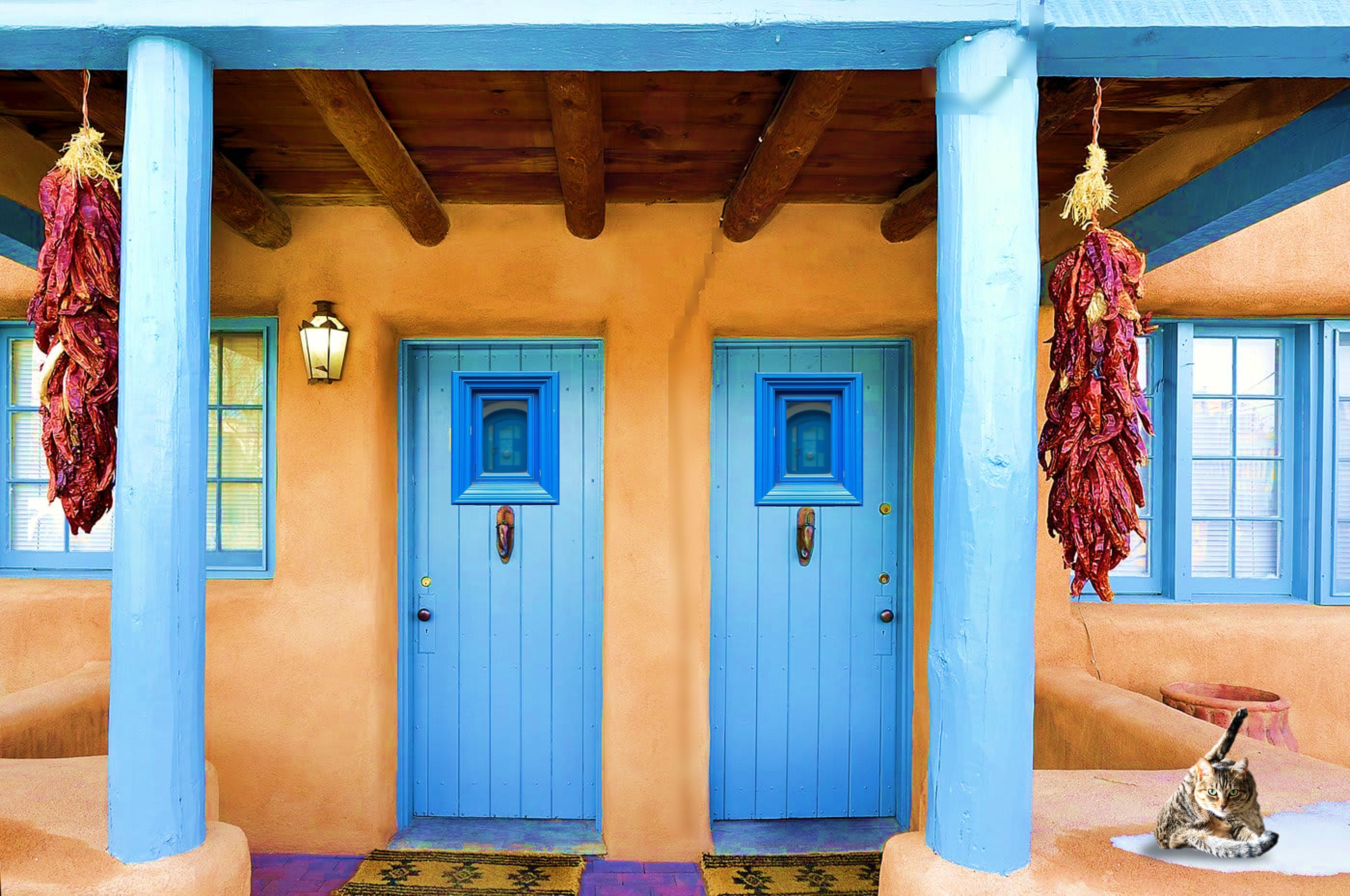 Blue door pair n cat