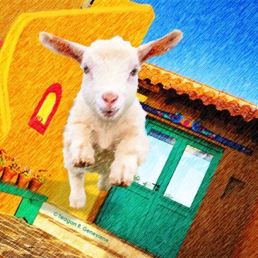 Goat jump Santa Fe House door