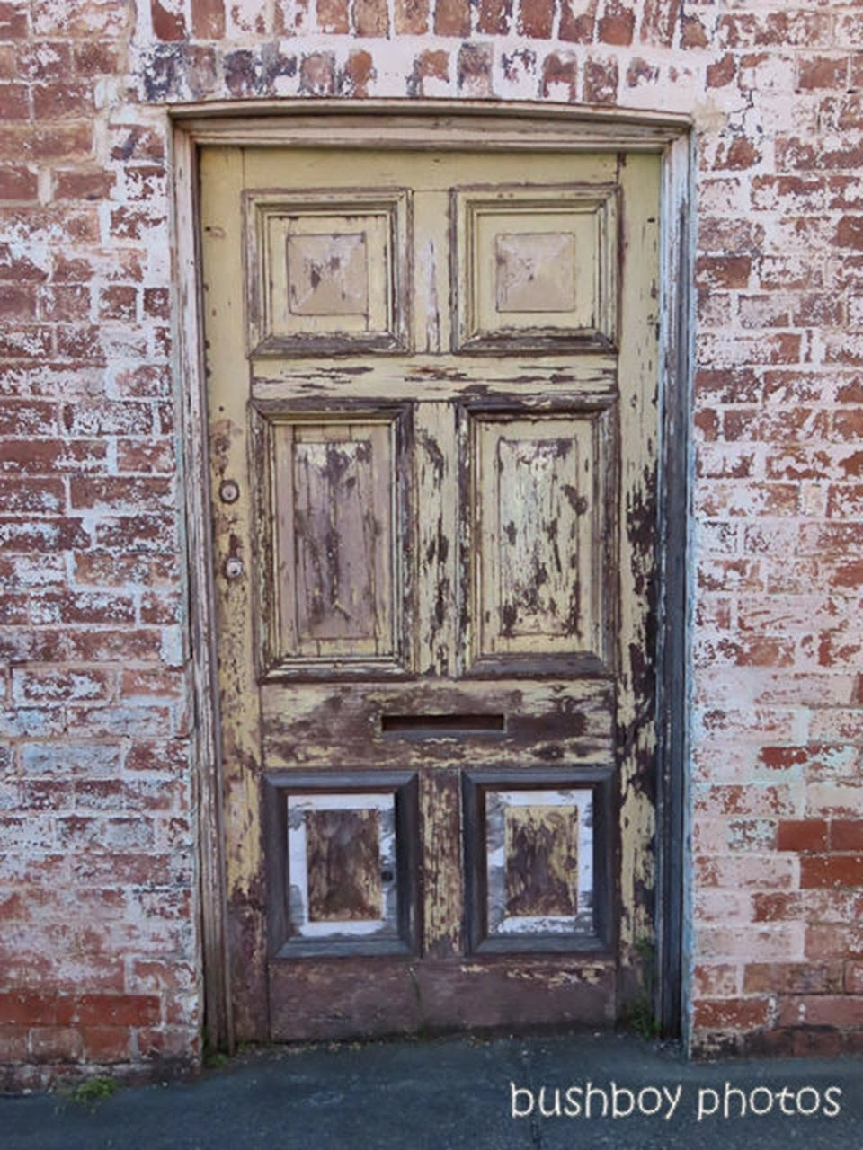 Old Pullens Door Grafton by Brian_Bushboy 2024
