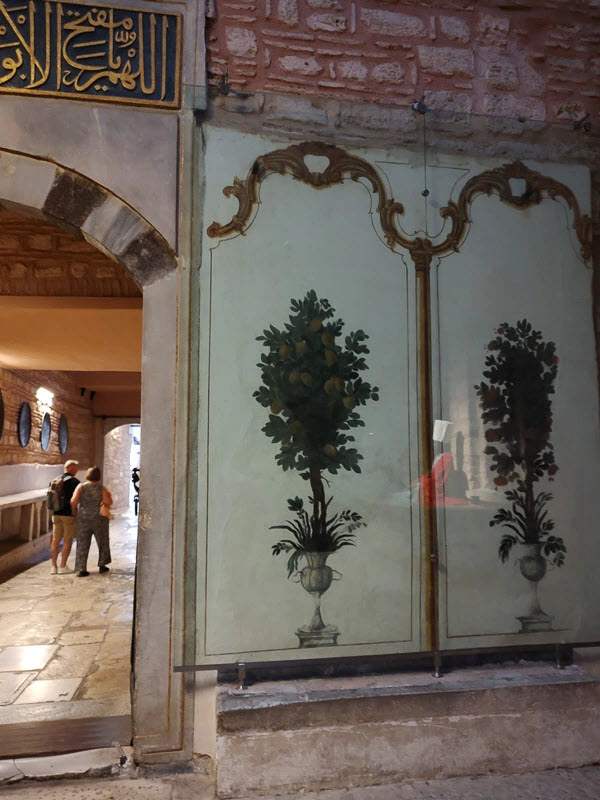 Photo credit Willow Willers