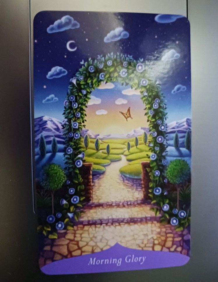 Morning Glory Magid of Flowers oracle card