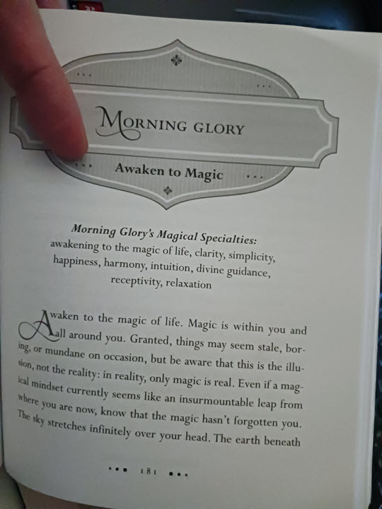 Morning Glory PAGE Magic of Flowers book