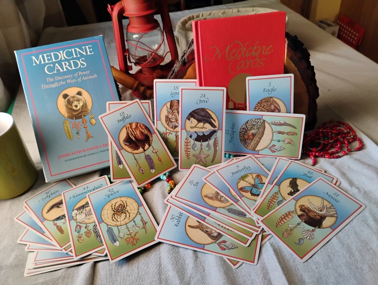 Medicine Cards still life photo by Teagan R Geneviene 2025-09-24