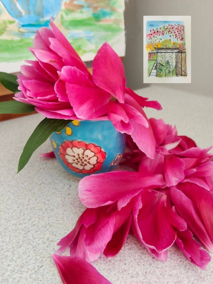 Peony petals by Mandy Henderson 2025