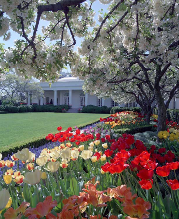 White House Rose Garden 1988 Wikipedia