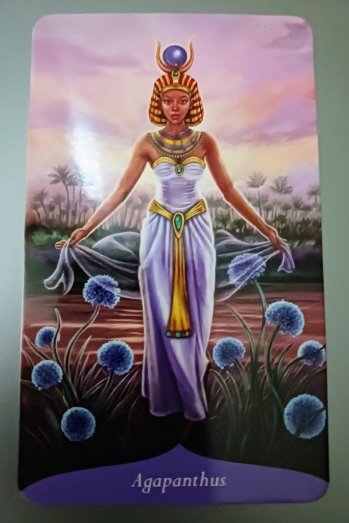 agapanthus card Magic of Flowers oracle