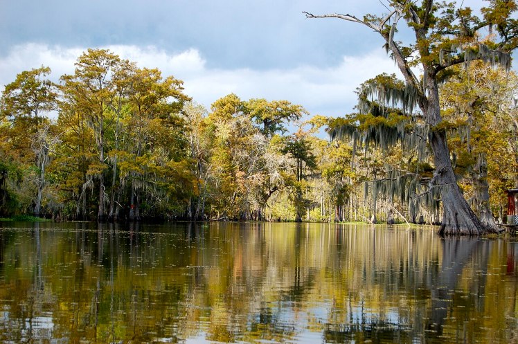 Bayou Corne, Assumption Parish, Louisiana USA, Wikemedia Commons