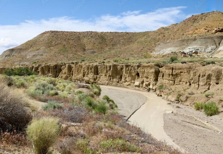 An arroyo cutting through the New Mexico desert, Adobe Stock Image