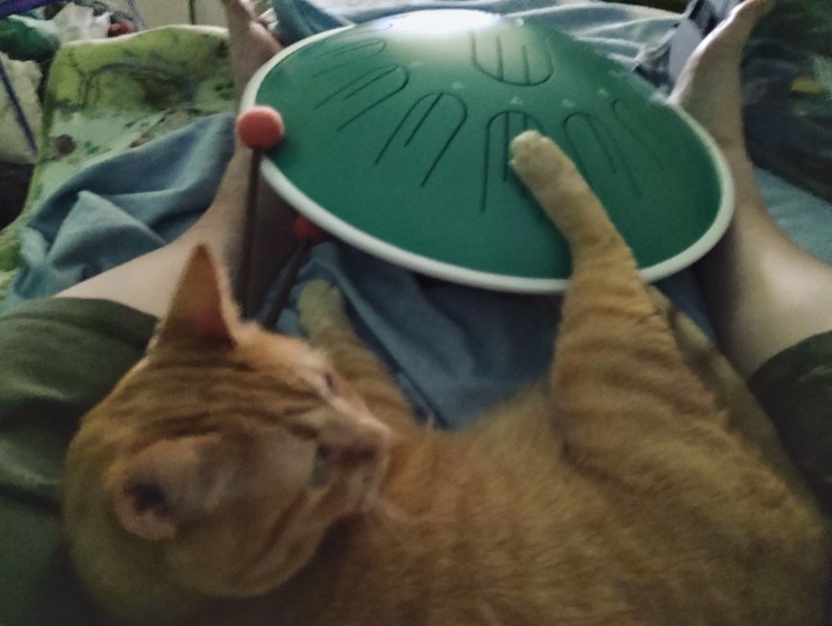 cat 2026-05-26 Velma foot on drum