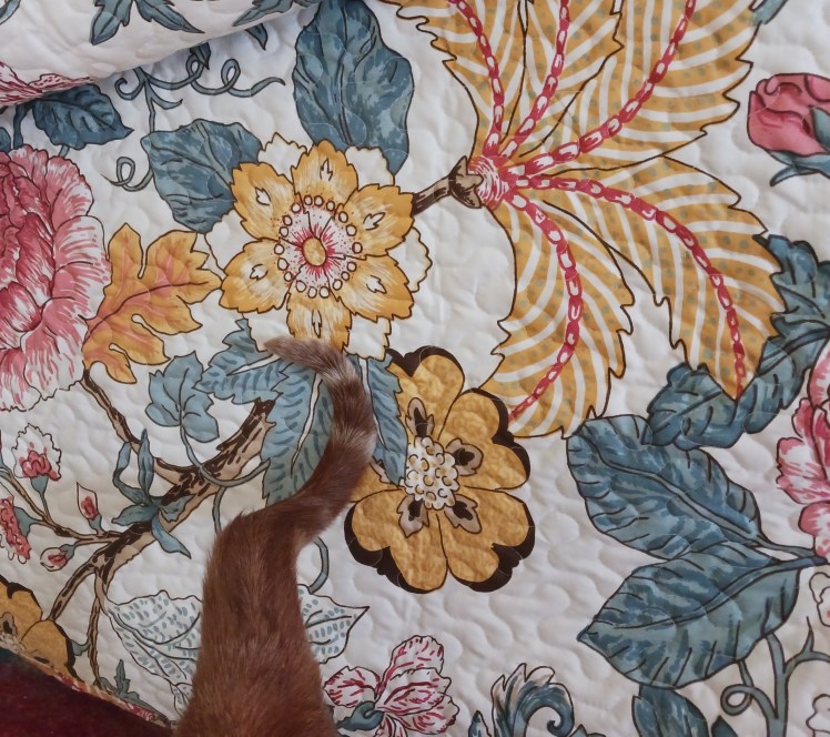 Sofa cover print 2026-06-09