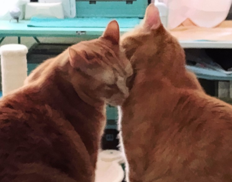 Daphne y Velma whispering