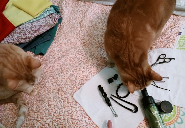 Velma y Daphne y hair stuff in black