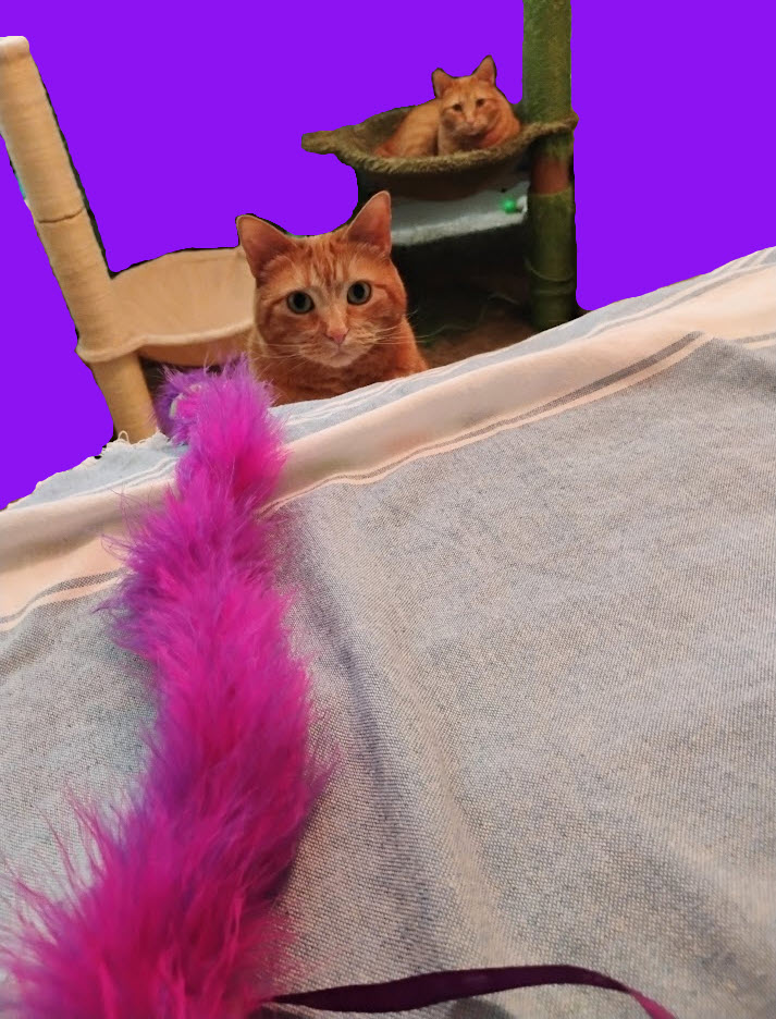 Daphne Velma purple feather boa toy
