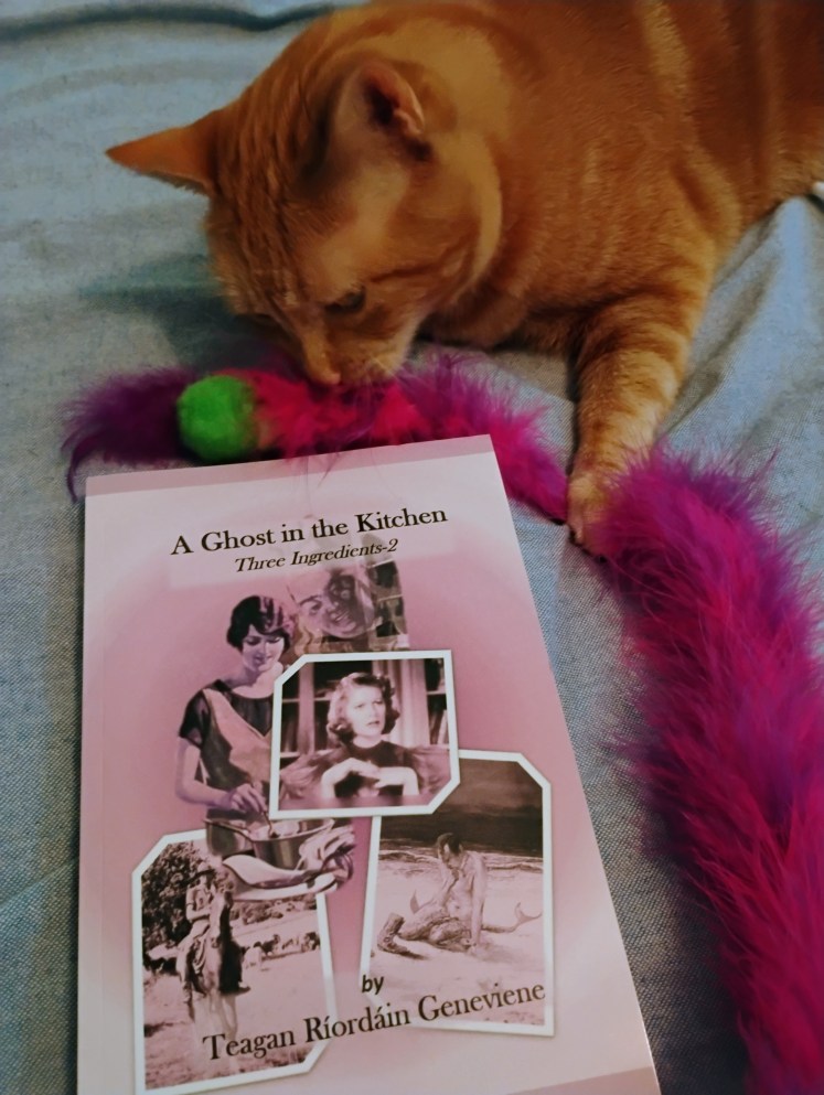 Daphne y Ghost in Kitchen book
