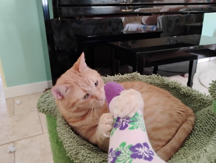 Velma grab my purple sock