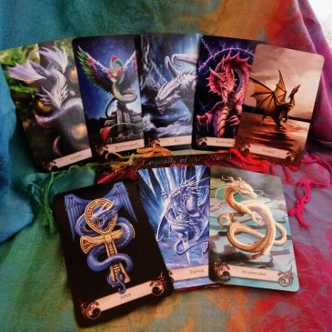 8 cards for Whos Your Dragon game